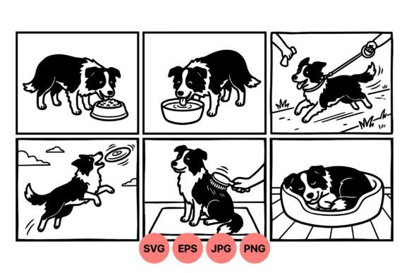 Border Collie Daily Life Clipart
